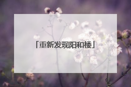重新发现阳和楼