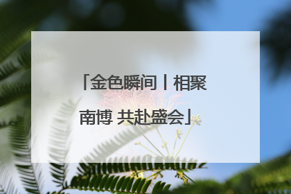 金色瞬间丨相聚南博 共赴盛会
