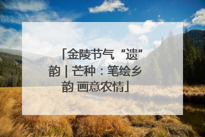 金陵节气“遗”韵｜芒种：笔绘乡韵 画意农情