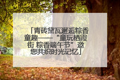 青砖黛瓦邂逅粽香童趣——“童玩栖霞街 粽香端午节”邀您共织时光记忆