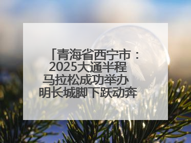 青海省西宁市：2025大通半程马拉松成功举办 明长城脚下跃动奔跑音符
