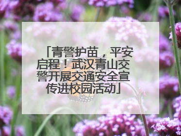 青警护苗，平安启程！武汉青山交警开展交通安全宣传进校园活动