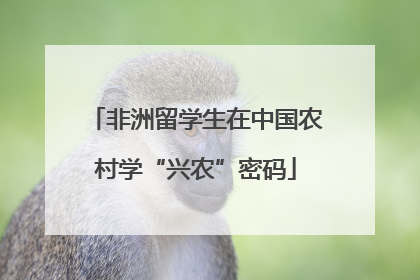 非洲留学生在中国农村学“兴农”密码