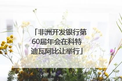 非洲开发银行第60届年会在科特迪瓦阿比让举行