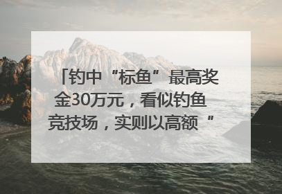钓中“标鱼”最高奖金30万元，看似钓鱼竞技场，实则以高额“回报”作“饵”……｜今晚九点半