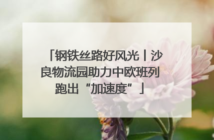 钢铁丝路好风光丨沙良物流园助力中欧班列跑出“加速度”