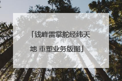 钱峰雷掌舵经纬天地 重塑业务版图