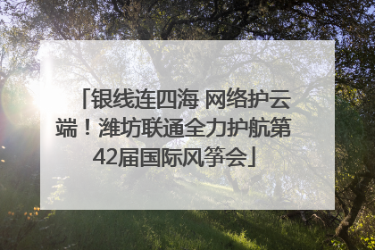 银线连四海 网络护云端！潍坊联通全力护航第42届国际风筝会
