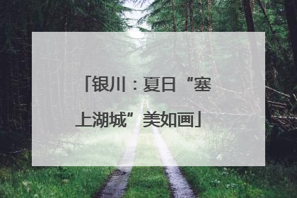 银川：夏日“塞上湖城”美如画
