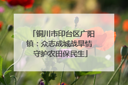铜川市印台区广阳镇：众志成城战旱情 守护农田保民生