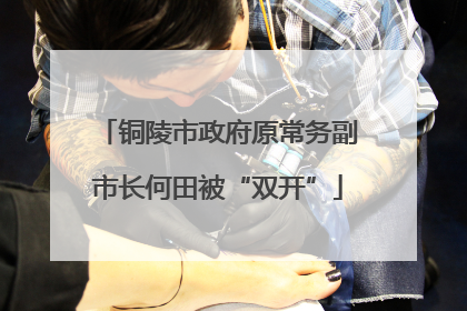 铜陵市政府原常务副市长何田被“双开”