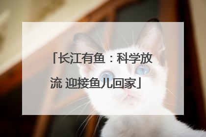 长江有鱼：科学放流 迎接鱼儿回家
