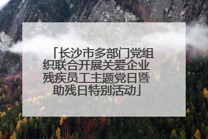 长沙市多部门党组织联合开展关爱企业残疾员工主题党日暨助残日特别活动