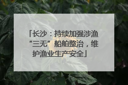 长沙：持续加强涉渔“三无”船舶整治，维护渔业生产安全