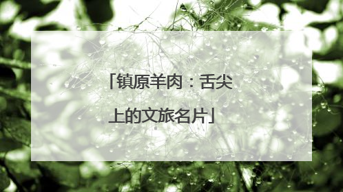 镇原羊肉：舌尖上的文旅名片