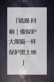 镜观·回响｜像保护大熊猫一样保护黑土地