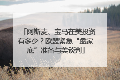 阿斯麦、宝马在美投资有多少？欧盟紧急“盘家底”准备与美谈判