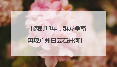 阔别13年，群龙争霸再现广州白云石井河