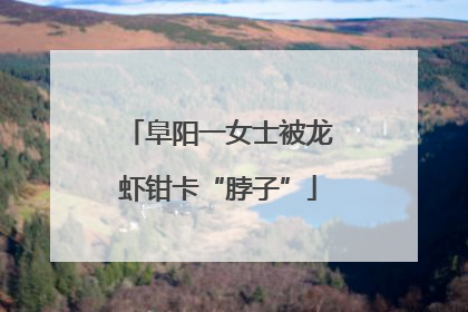阜阳一女士被龙虾钳卡“脖子”