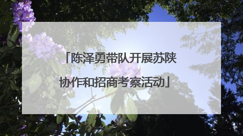 陈泽勇带队开展苏陕协作和招商考察活动