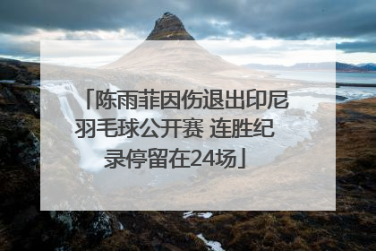陈雨菲因伤退出印尼羽毛球公开赛 连胜纪录停留在24场
