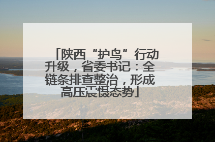 陕西“护鸟”行动升级，省委书记：全链条排查整治，形成高压震慑态势