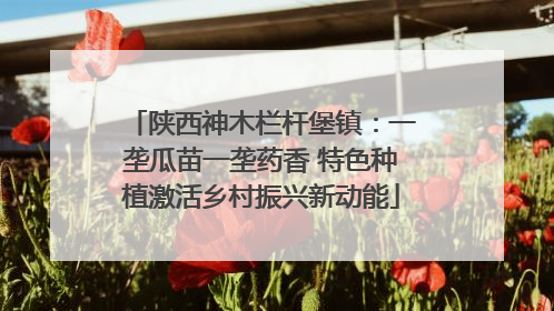 陕西神木栏杆堡镇：一垄瓜苗一垄药香 特色种植激活乡村振兴新动能