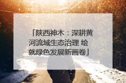 陕西神木：深耕黄河流域生态治理 绘就绿色发展新画卷