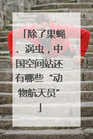 除了果蝇、涡虫，中国空间站还有哪些“动物航天员”
