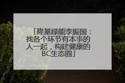隆基绿能李振国：找各个环节有本事的人一起，构建健康的BC生态圈