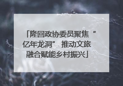 隆回政协委员聚焦“亿年龙洞” 推动文旅融合赋能乡村振兴