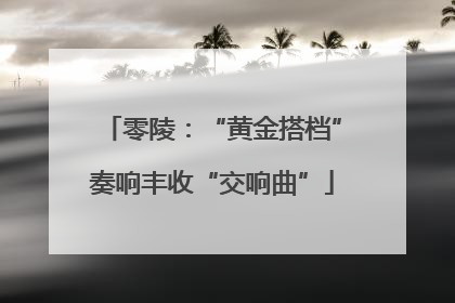 零陵：“黄金搭档”奏响丰收“交响曲”
