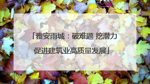 雅安雨城：破难题 挖潜力 促进建筑业高质量发展