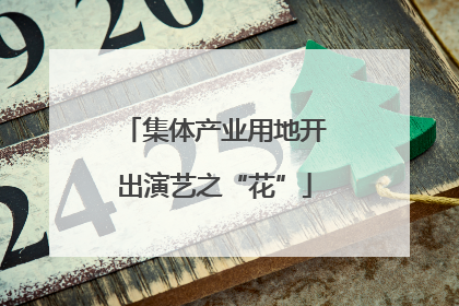 集体产业用地开出演艺之“花”