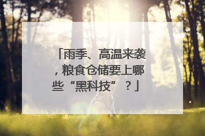雨季、高温来袭，粮食仓储要上哪些“黑科技”？