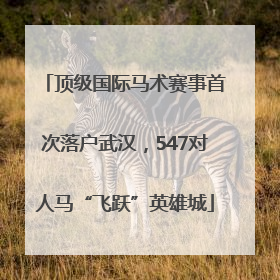 顶级国际马术赛事首次落户武汉，547对人马“飞跃”英雄城