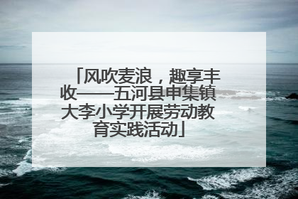 风吹麦浪，趣享丰收——五河县申集镇大李小学开展劳动教育实践活动