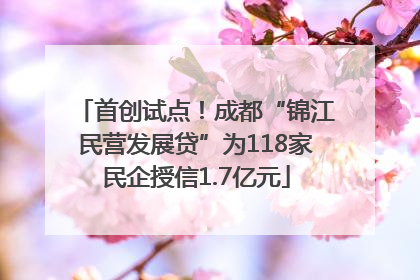 首创试点！成都“锦江民营发展贷”为118家民企授信1.7亿元
