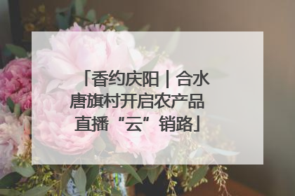 香约庆阳｜合水唐旗村开启农产品直播“云”销路