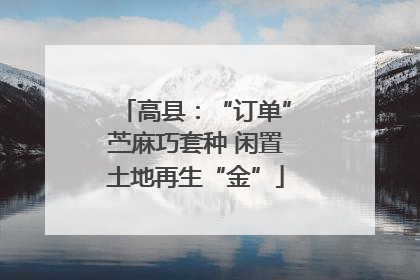 高县：“订单”苎麻巧套种 闲置土地再生“金”