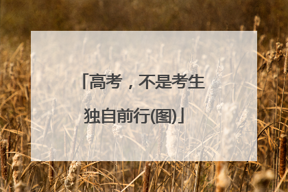 高考，不是考生独自前行(图)
