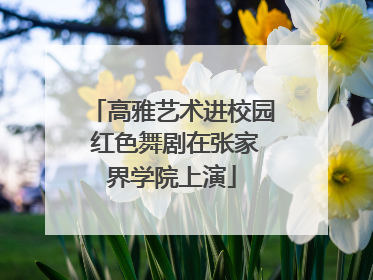 高雅艺术进校园 红色舞剧在张家界学院上演