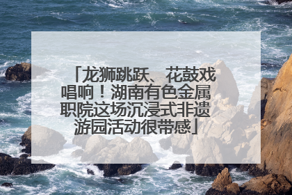 龙狮跳跃、花鼓戏唱响！湖南有色金属职院这场沉浸式非遗游园活动很带感