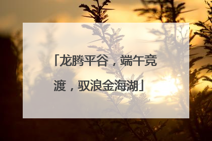 龙腾平谷，端午竞渡，驭浪金海湖