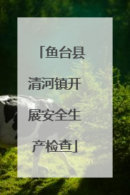 鱼台县清河镇开展安全生产检查