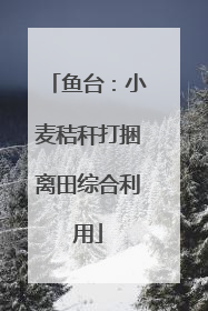 鱼台：小麦秸秆打捆离田综合利用
