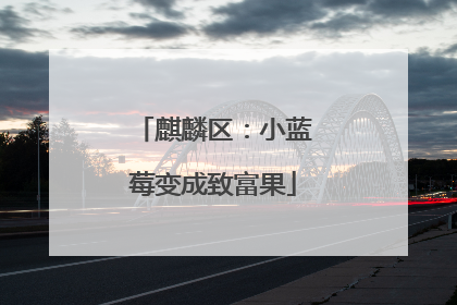 麒麟区：小蓝莓变成致富果