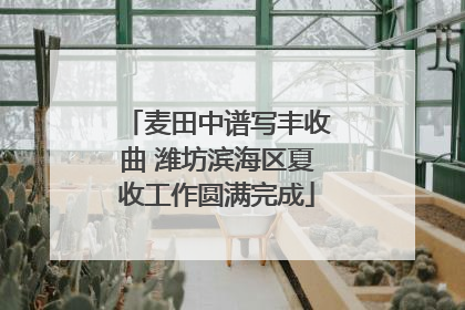 麦田中谱写丰收曲 潍坊滨海区夏收工作圆满完成