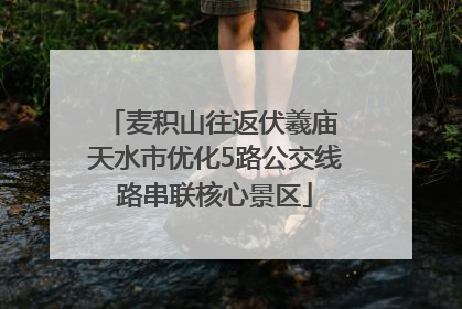麦积山往返伏羲庙 天水市优化5路公交线路串联核心景区