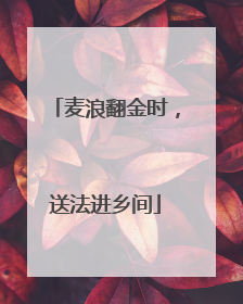 麦浪翻金时，送法进乡间